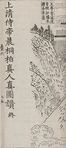 插图