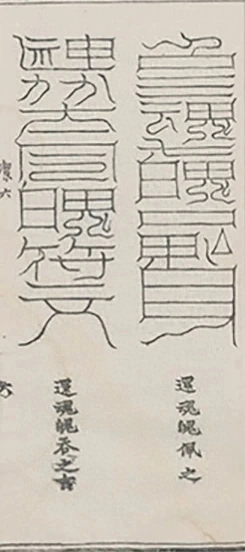 插图