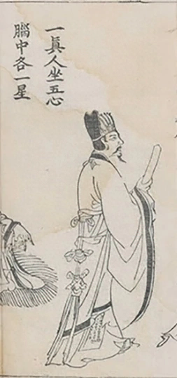 插图