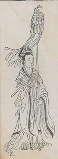 插图
