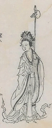 插图