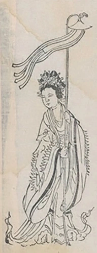 插图