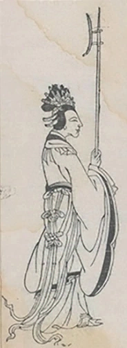 插图