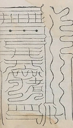 插图