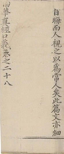 插图