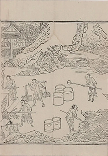 插图
