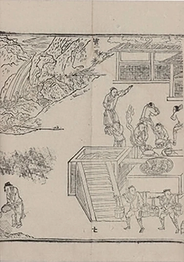 插图