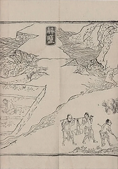 插图