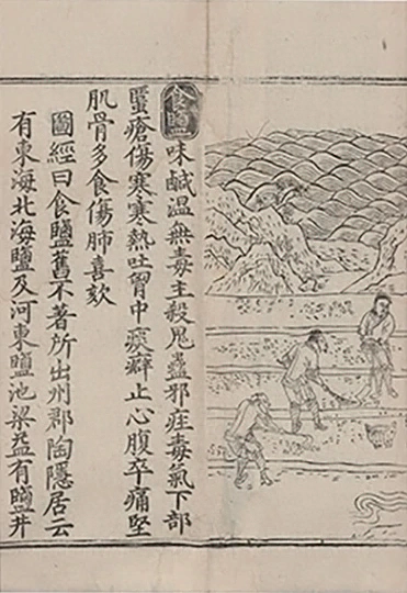 插图