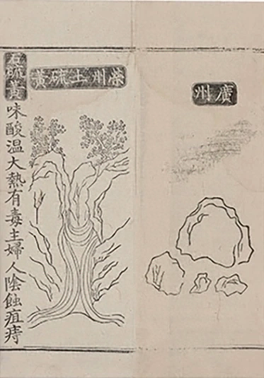 插图