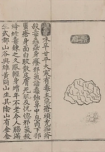 插图