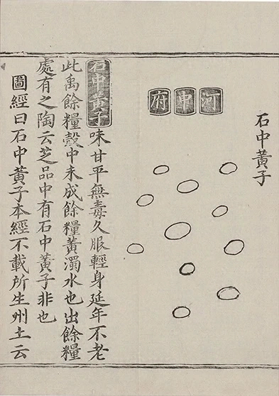 插图