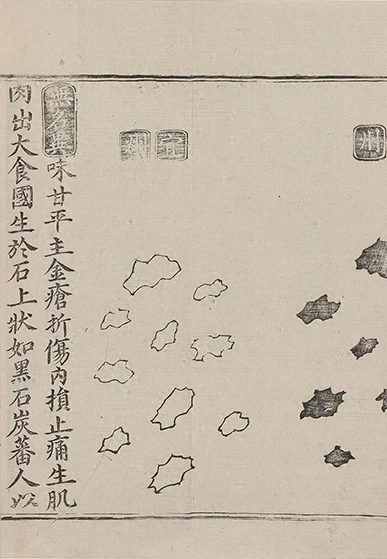 插图