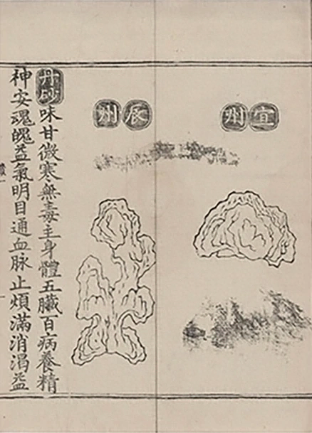 插图