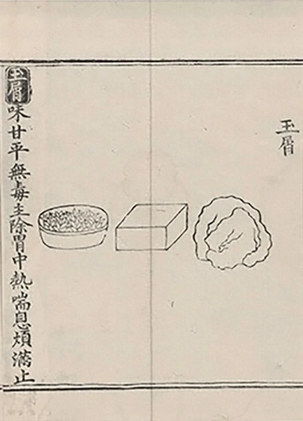 插图