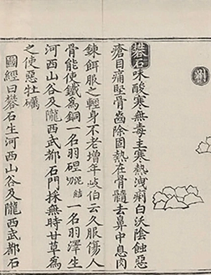 插图