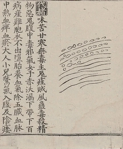 插图