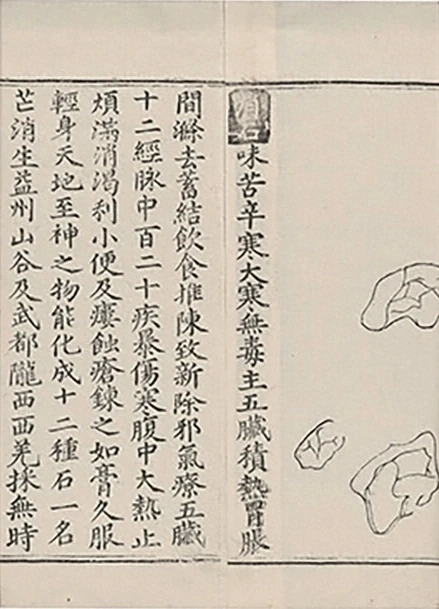插图