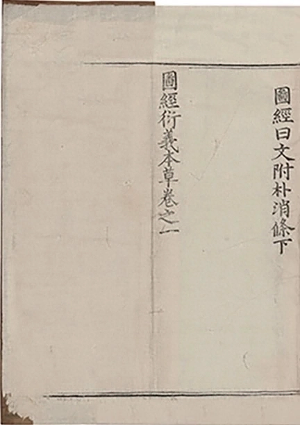 插图