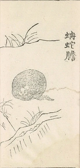 插图