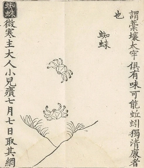 插图