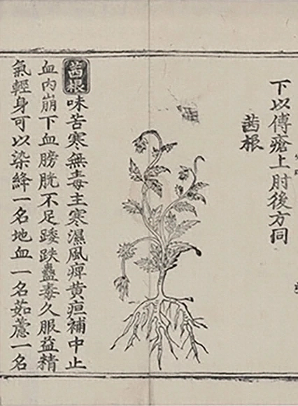 插图