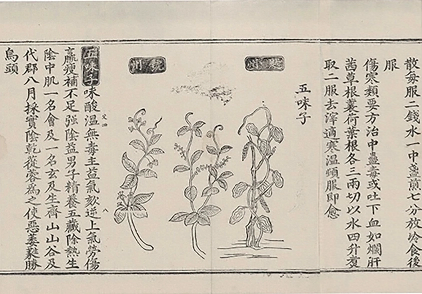 插图