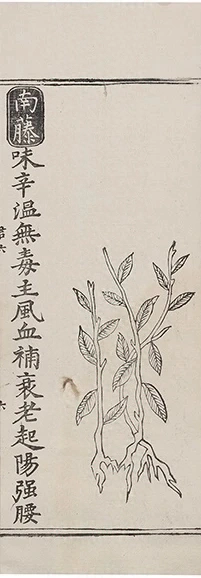 插图