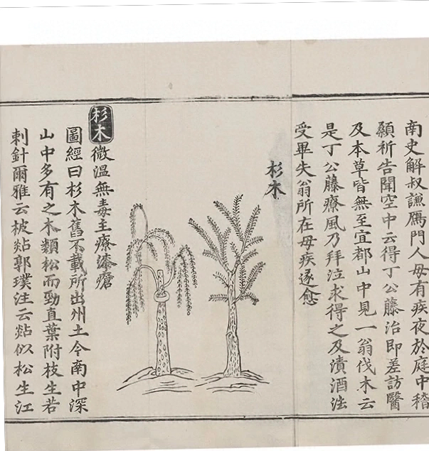 插图
