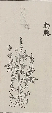 插图