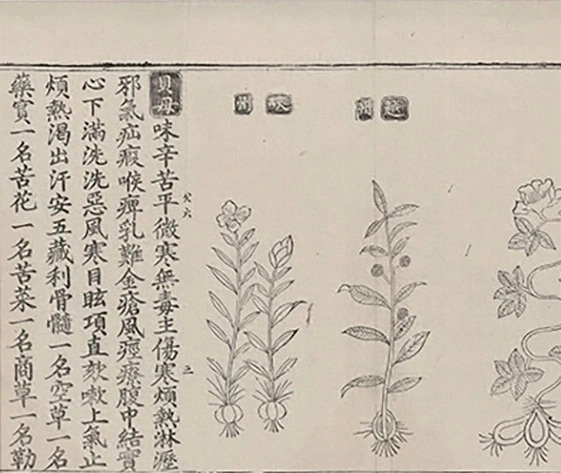 插图