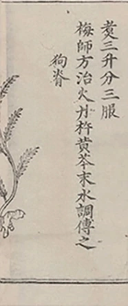 插图