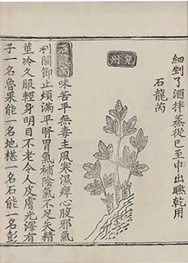 插图