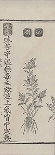 插图