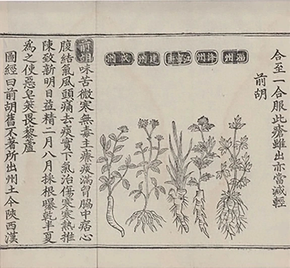 插图