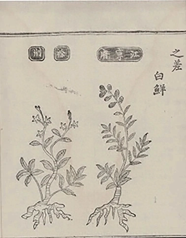插图