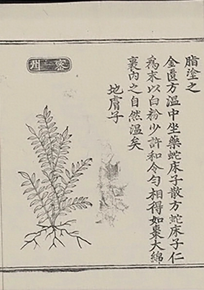 插图