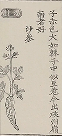 插图