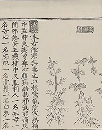 插图