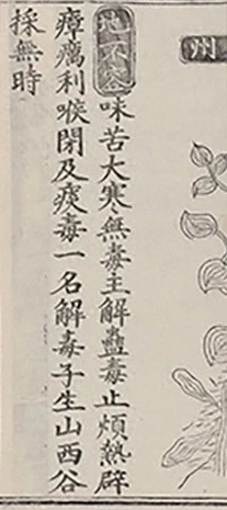 插图