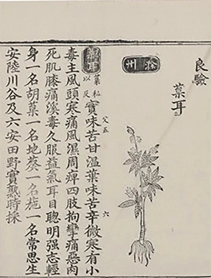 插图