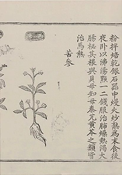 插图