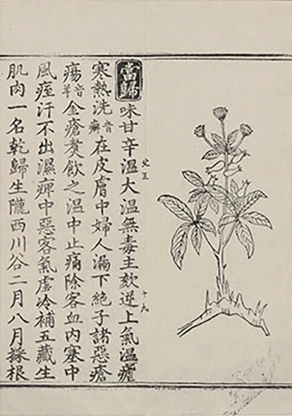 插图