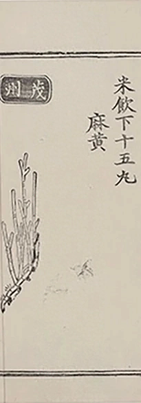 插图