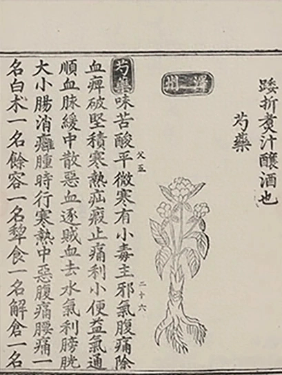 插图