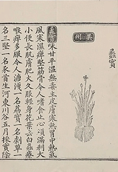插图