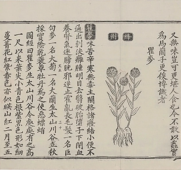 插图