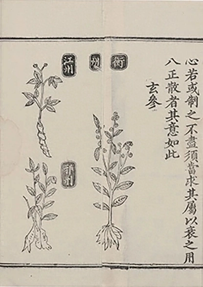 插图