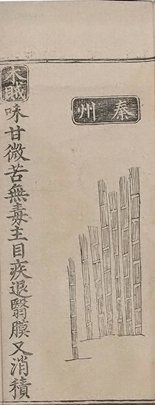 插图