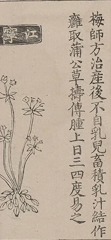 插图